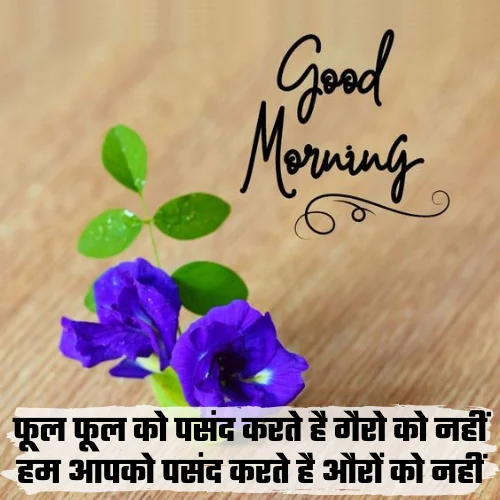 Miss You Good Morning Love Shayari