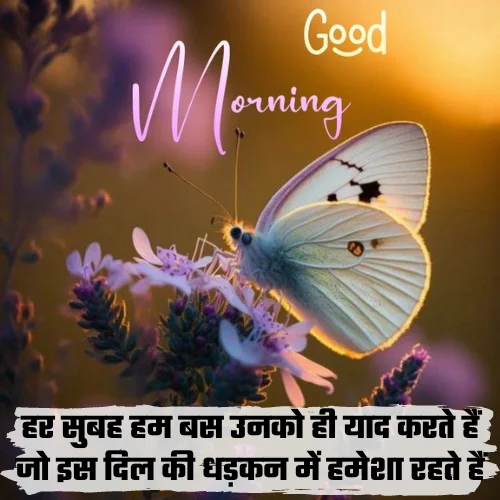 Miss You Good Morning Love Shayari