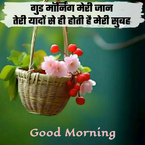 Miss You Good Morning Love Shayari