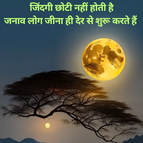 Shayari on Life