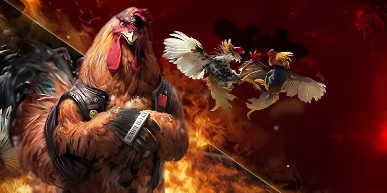 OKKING Cockfighting