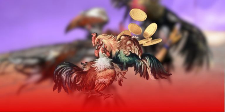 Cockfighting