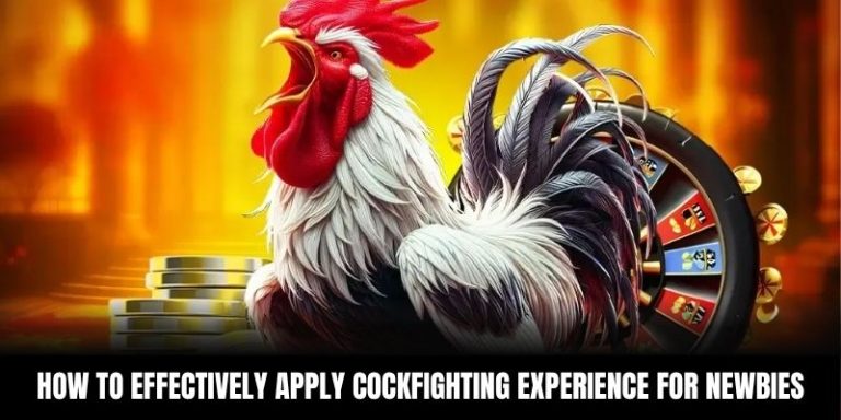 Cockfighting experience