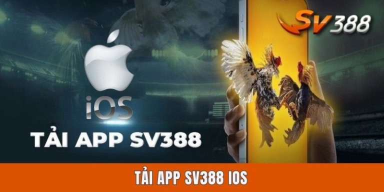 How to Download App Sv388 and Start Playing Today